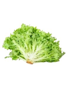 Salade Frisée